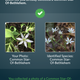 Image for article titled Three great nature apps for hiking, star gazing, and identifying wildlife